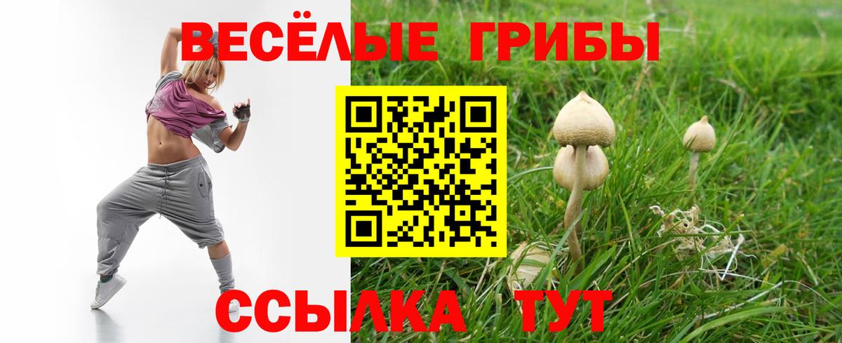 Алексин  наркотики  Вход с VPN  Галлюциногенные грибы Magic Shrooms 